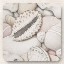 Search for abalone coasters Beach