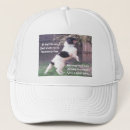 Search for horse accessories Dogs