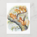 Search for beatrix potter postcards Illustration