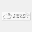 Search for white rabbit bumper stickers Miscellaneous
