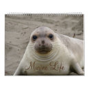 Search for seal calendars Marine