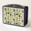 Search for fern food storage Green