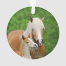 Search for pony christmas tree decorations Funny