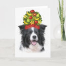 Search for border collie cards Herding