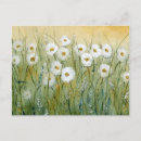 Search for spring daisy postcards Daisies