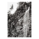 Search for black and white tree posters Summer