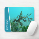 Search for leafy mouse mats Leafy sea dragon