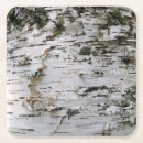Search for birch tree coasters Outdoors