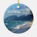 Search for hawaiian christmas tree decorations Oahu