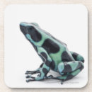 Search for dart coasters Shells
