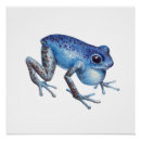 Search for poison dart frog posters Amphibian