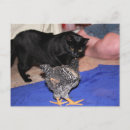 Search for watcher postcards Cute