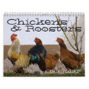 Search for chicken calendars Eggs