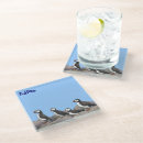 Search for puffin coasters Nature