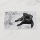 Search for pug business cards Puppies