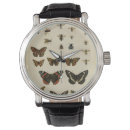 Search for insects watches Animals