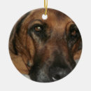 Search for rhodesian ridgeback christmas tree decorations Animal