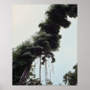 Search for lush posters Tree trunk