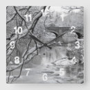 Search for frozen clocks Snow