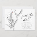 Search for black swan invitations Black and white