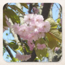 Search for japanese cherry blossom coasters Nature