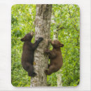 Search for cathy mouse mats Tree