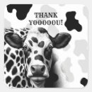 Search for black and white cow stickers Vintage