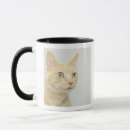 Search for eyes closed mugs Studio shot