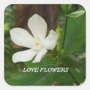 Search for sustainability stickers Flowers