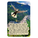Search for flying eagle magnets Mountain