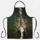 Search for spider aprons Arachnids