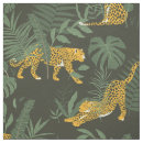 Search for forest leopard Big cat