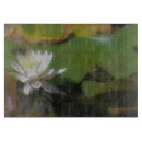 Search for frog cookware Cute