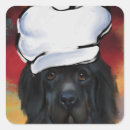 Search for newfoundland dog stickers Chef