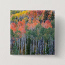 Search for aspen square badges Colour