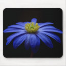 Search for gerbera mouse mats Flower