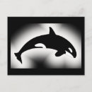 Search for orca the whale postcards Black and white