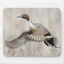 Search for drake mouse mats Superstock