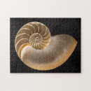 Search for seashell puzzles Vacation