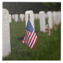 Search for veterans tiles Flag
