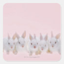 Search for digital composite stickers Nature