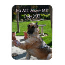 Search for herding photography German shepherd