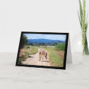 Search for mules cards Animal