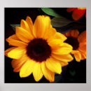 Search for florists posters Flower shop