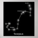 Search for scorpius posters Constellation