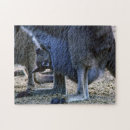Search for kangaroo puzzles Travel