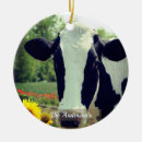 Search for black cow christmas tree decorations Black and white