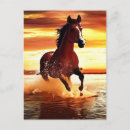 Search for horses galloping postcards Wild horse