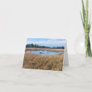 Search for sedge Nature