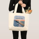 Search for dunes bags Lake michigan